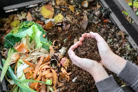 composting, promoting zero-wastage